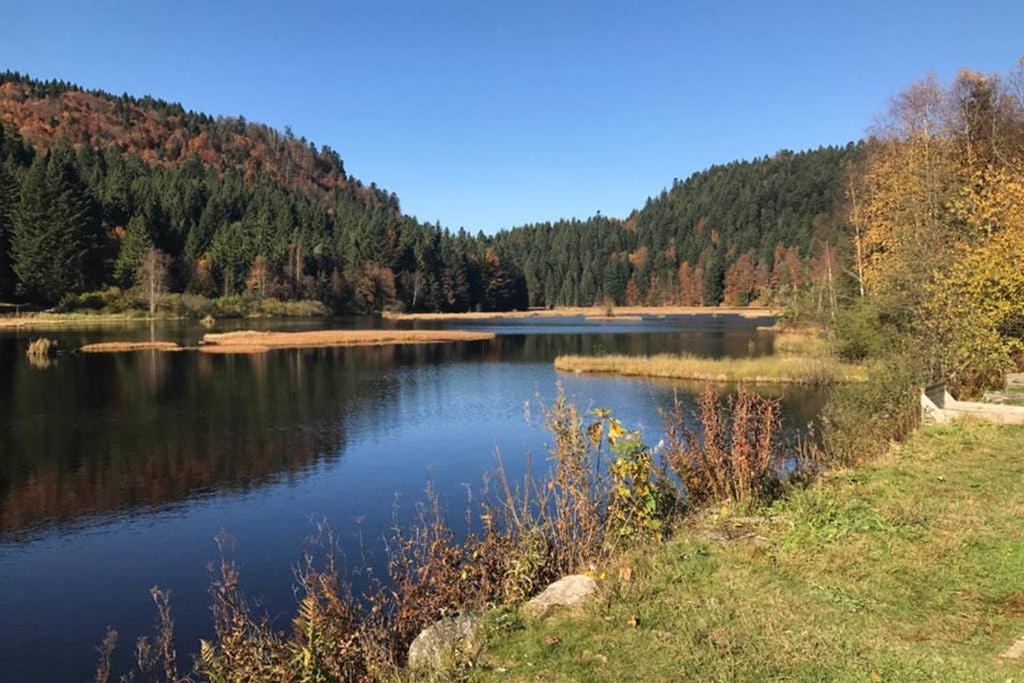 Lullaby House - Large, Full Comfort 5 Star Chalet House In The Vosges Ramonchamp Zewnętrze zdjęcie